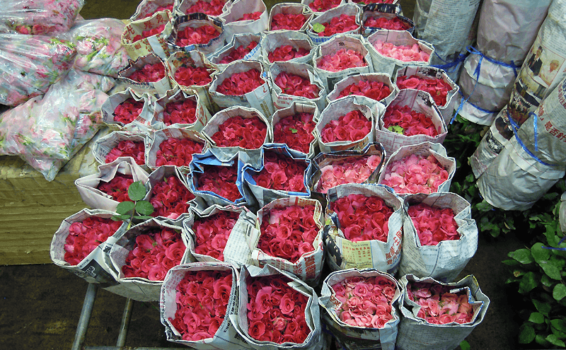 バンコクパークロン花市場のバラ