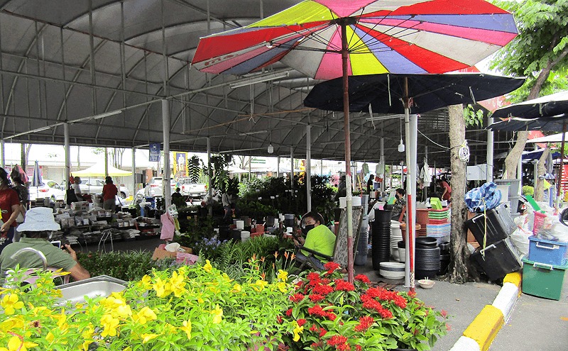 バンコクのチャットチャックマーケットの植木市