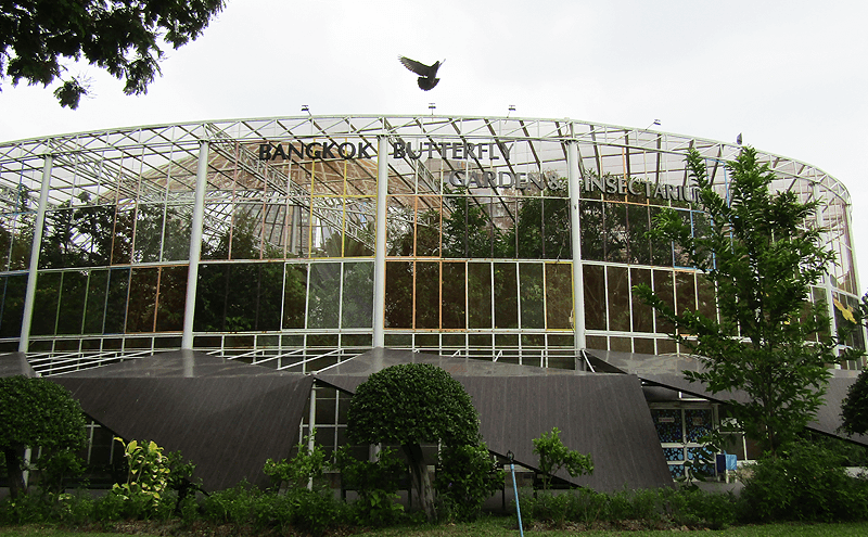 バンコクワチラベンチャタート公園の蝶の庭と昆虫館