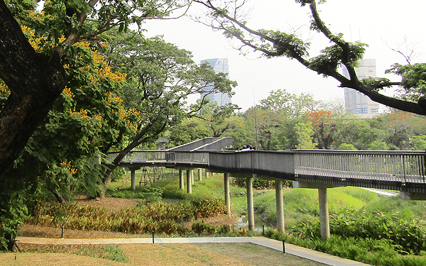 バンコクのベンジャキティ森林公園