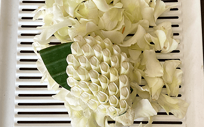 タイのイエップベープのお花