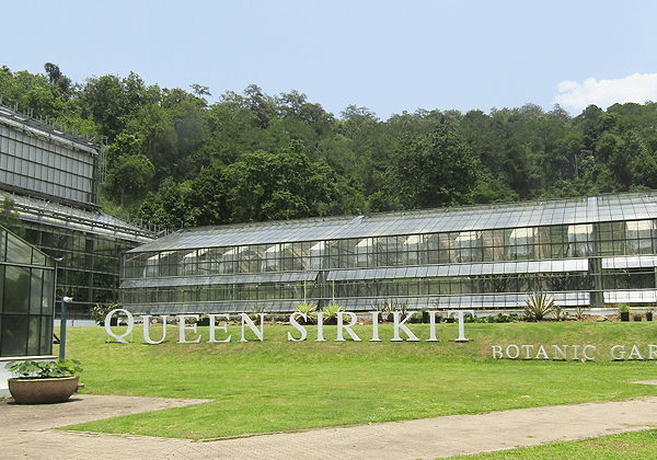 チェンマイのクィーン・シリキット王妃植物園