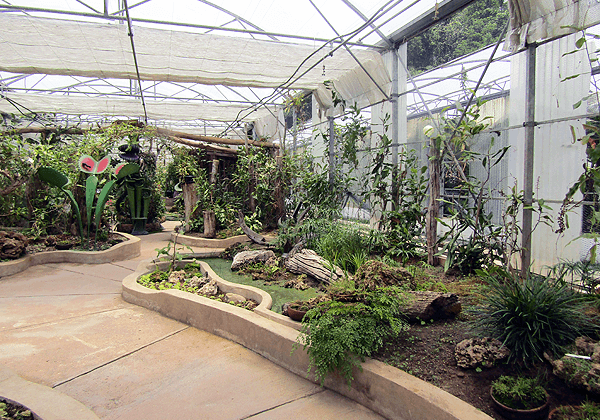 チェンマイのクィーン・シリキット王妃植物園