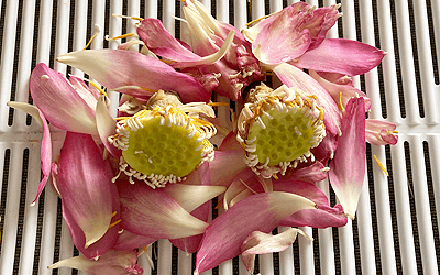 タイ花細工、蓮の花のマーライ