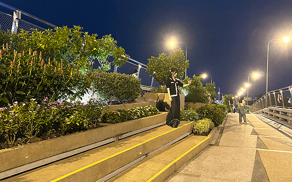 メモリアルブリッジのライトアップ