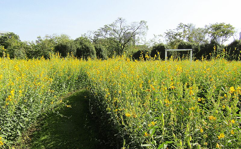 ワチラベンジャタット公園