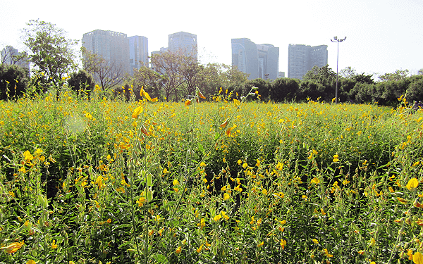 ワチラベンジャタット公園