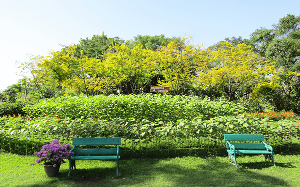 ワチラベンジャタット公園