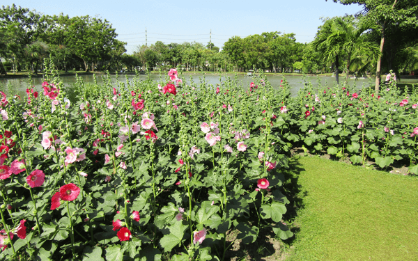 ワチラベンジャタット公園